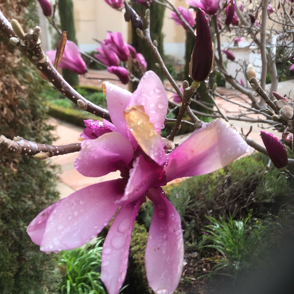 Meet your Posher, Cinna